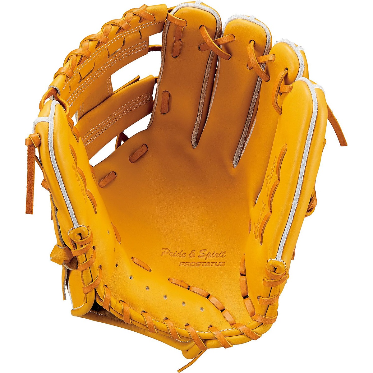 コウシキグラブ(プロステイタス)2404SE