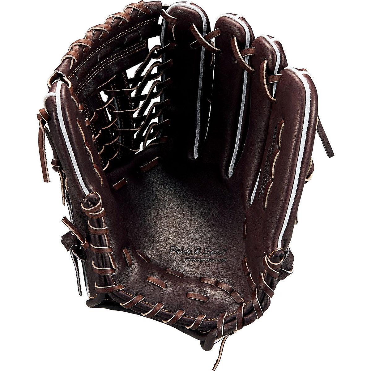 コウシキグラブ(プロステイタス)2401