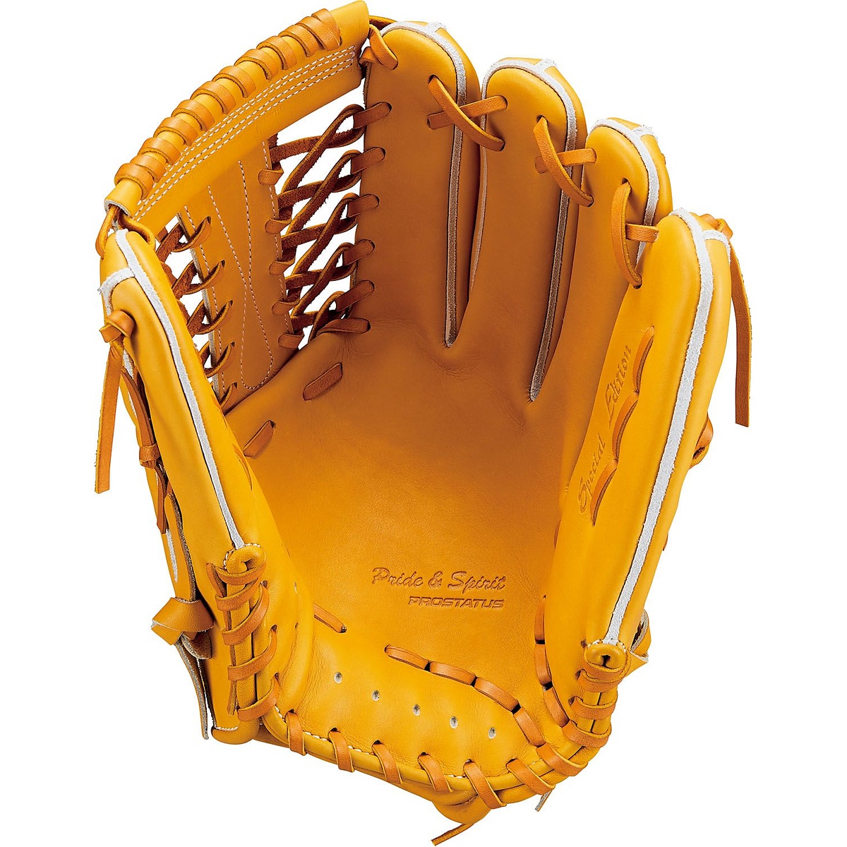 コウシキグラブ(プロステイタス)2501SE