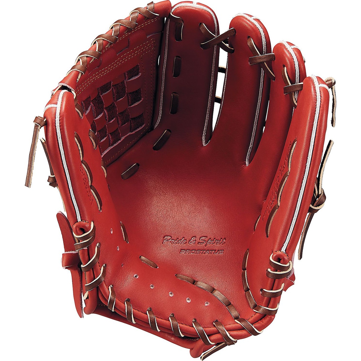 ナンシキグラブ(プロステイタス)23F