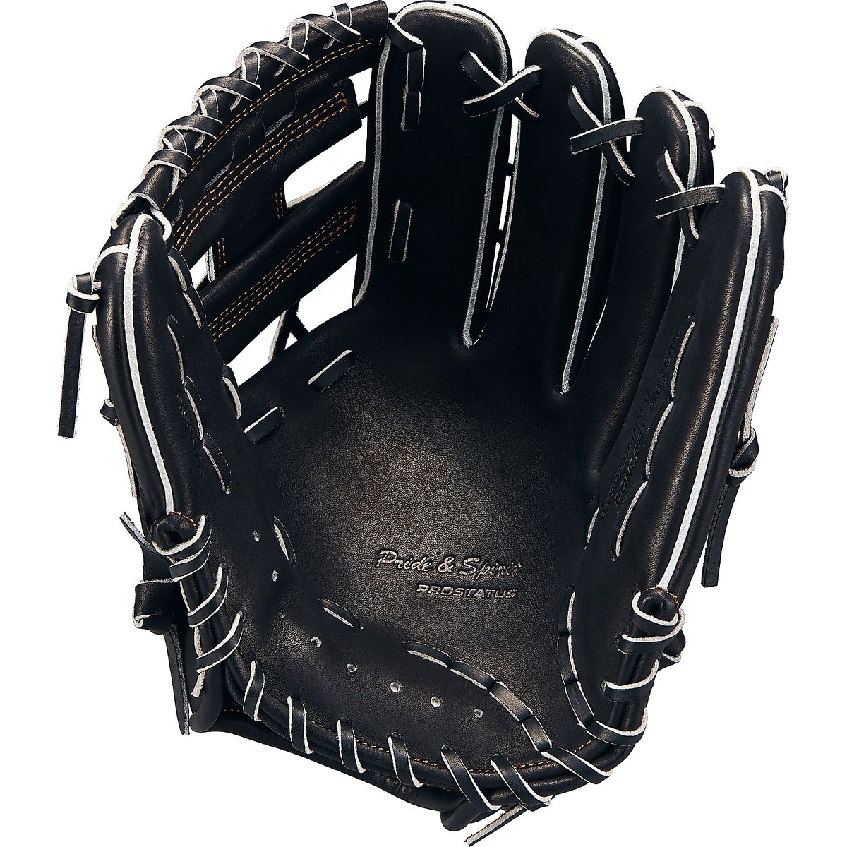 ナンシキグラブ(プロステイタス)2404