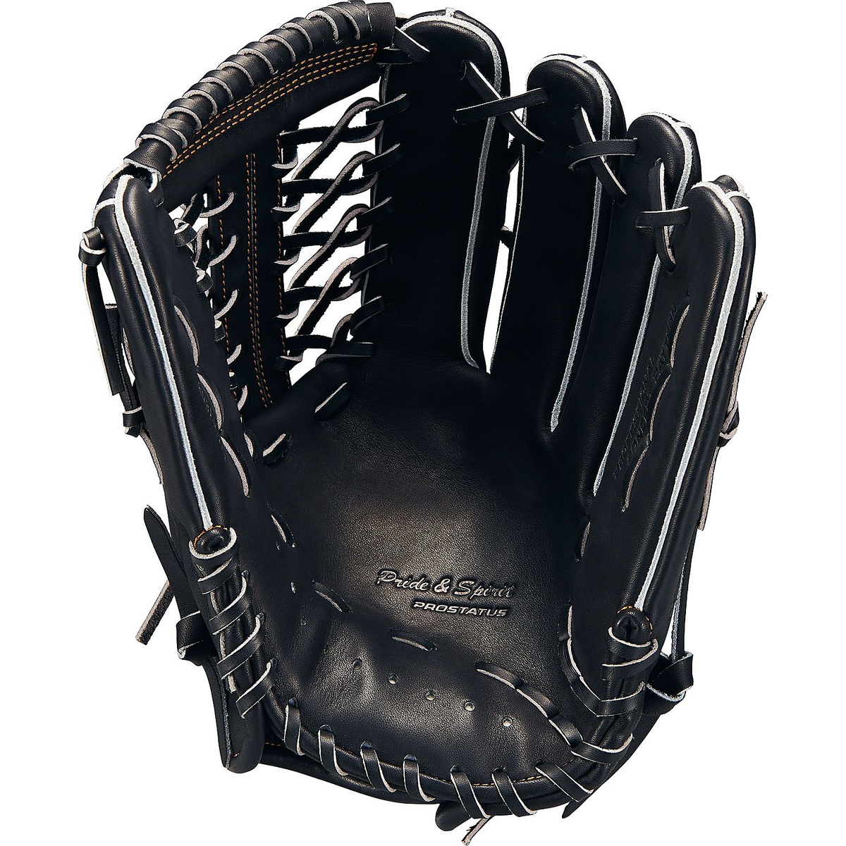 ナンシキグラブ(プロステイタス)25