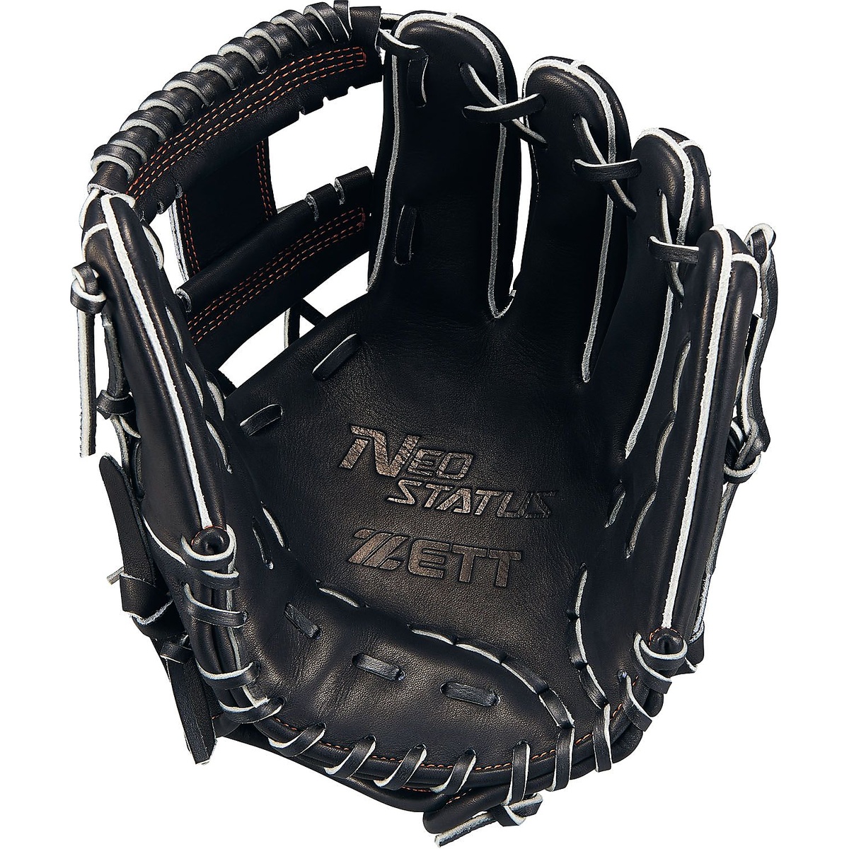 ナンシキグラブ(ネオステイタス)25