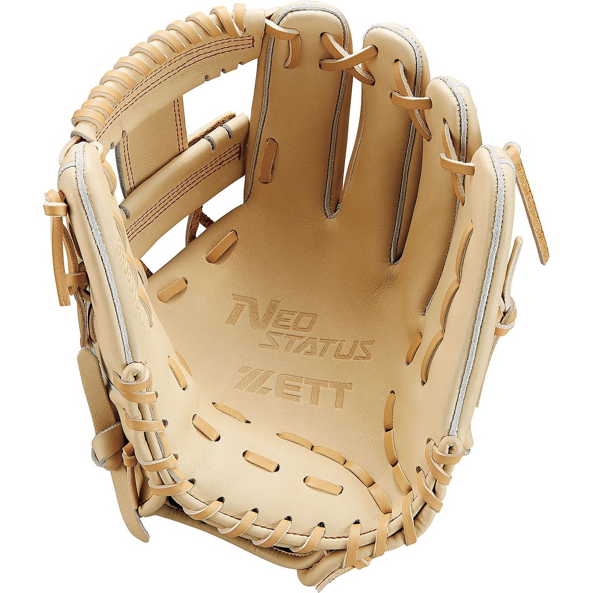 ナンシキグラブ(ネオステイタス)25