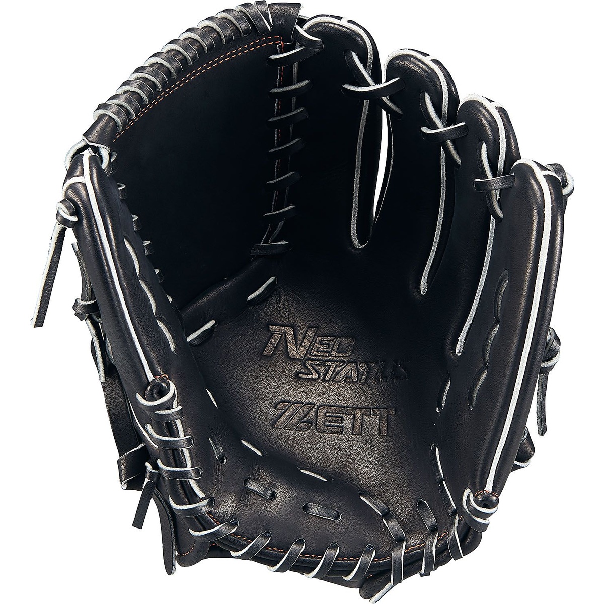 ナンシキグラブ(ネオステイタス)25