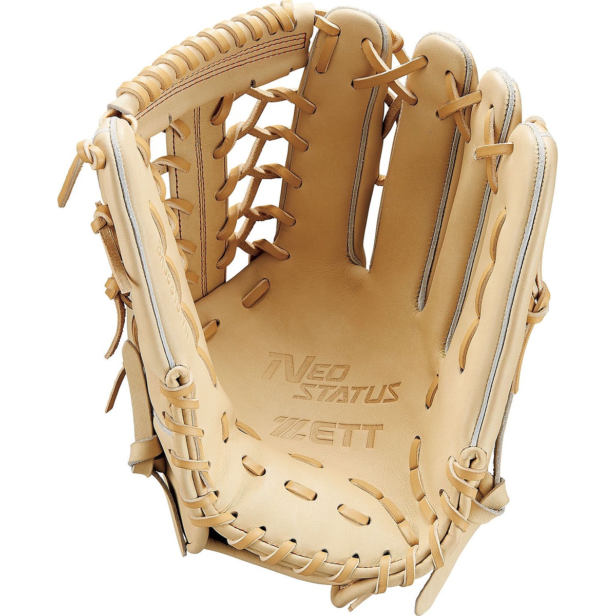 ナンシキグラブ(ネオステイタス)25