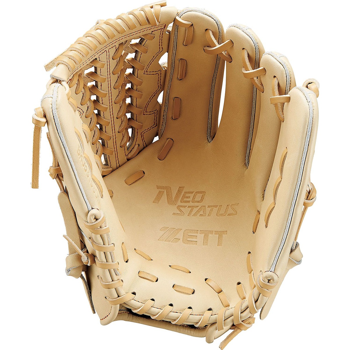 ナンシキグラブ(ネオステイタス)25