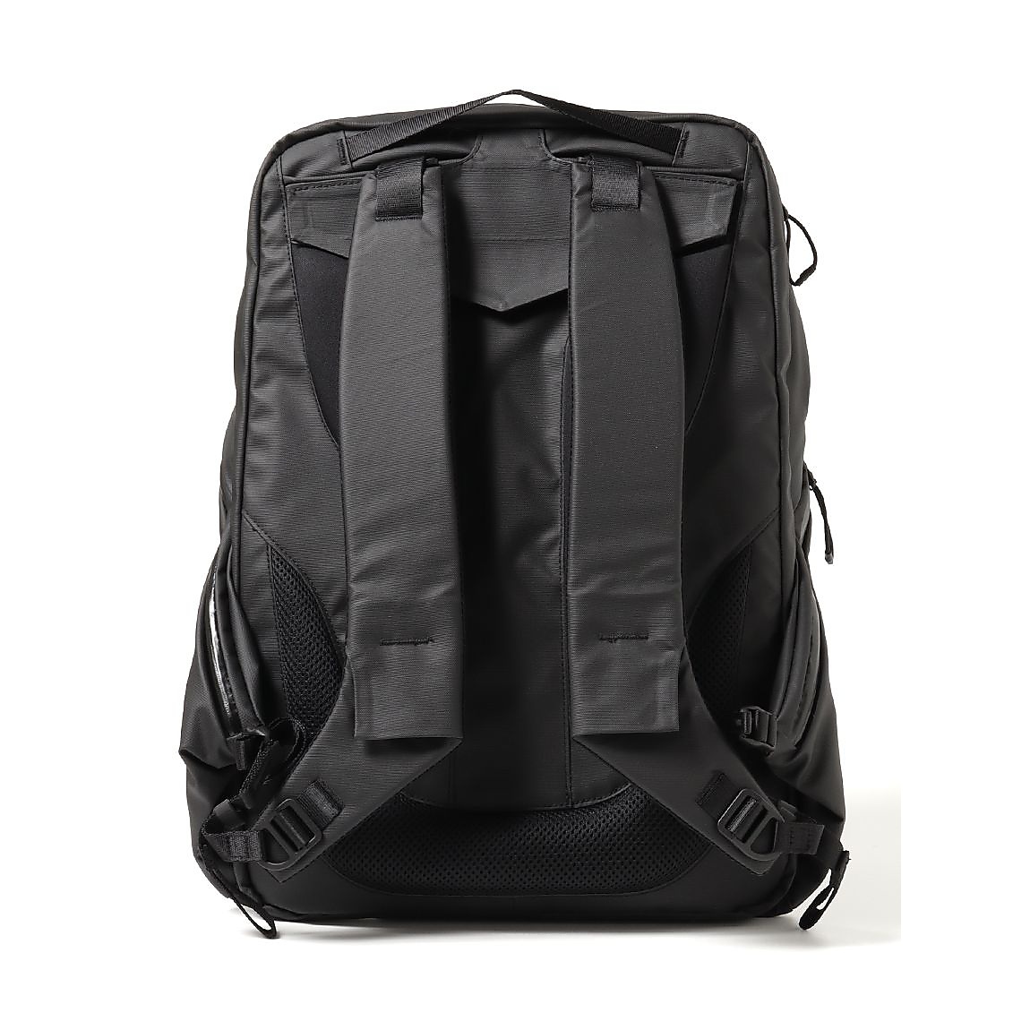 Biotite (バイオタイト)