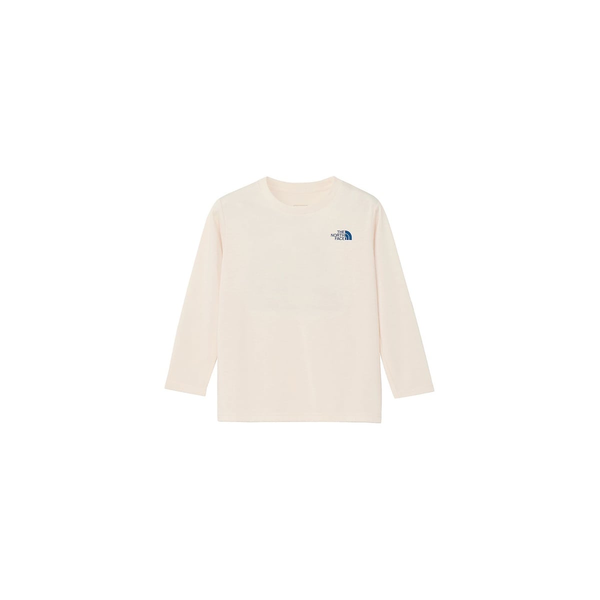 L/S TNF Bug Free Graphic Tee (ロングスリーブTNFバグフリーグラフィックティー)