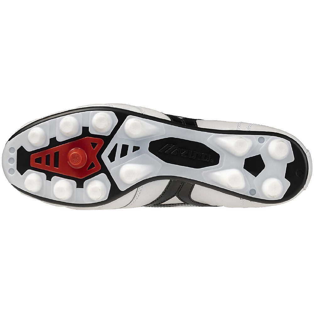 モレリア 2 JAPAN