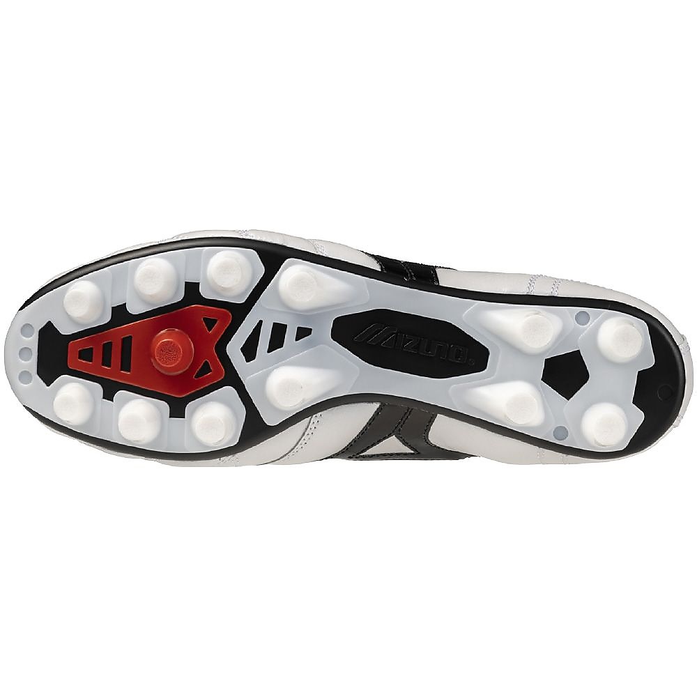 モレリア 2 JAPAN