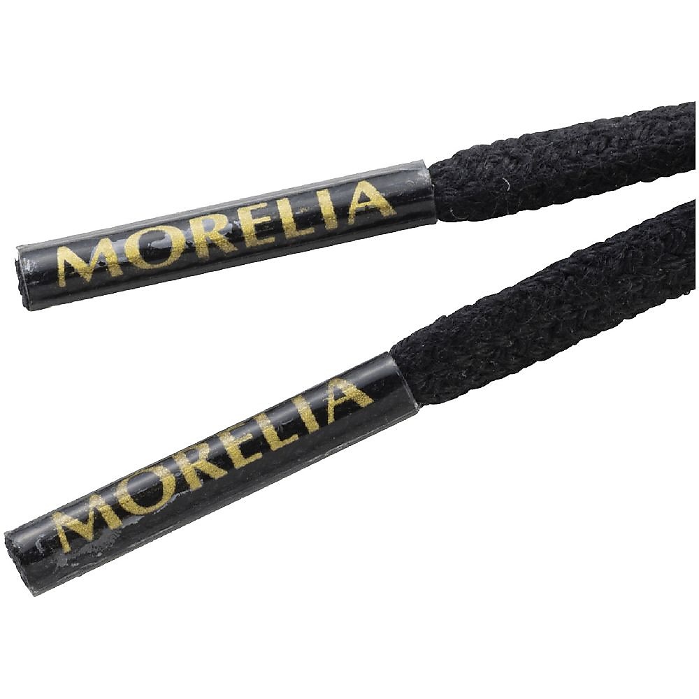 モレリアシューレース