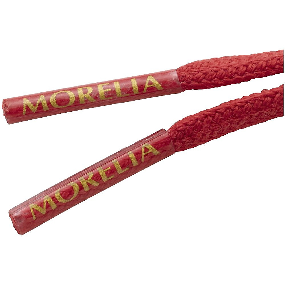 モレリアシューレース