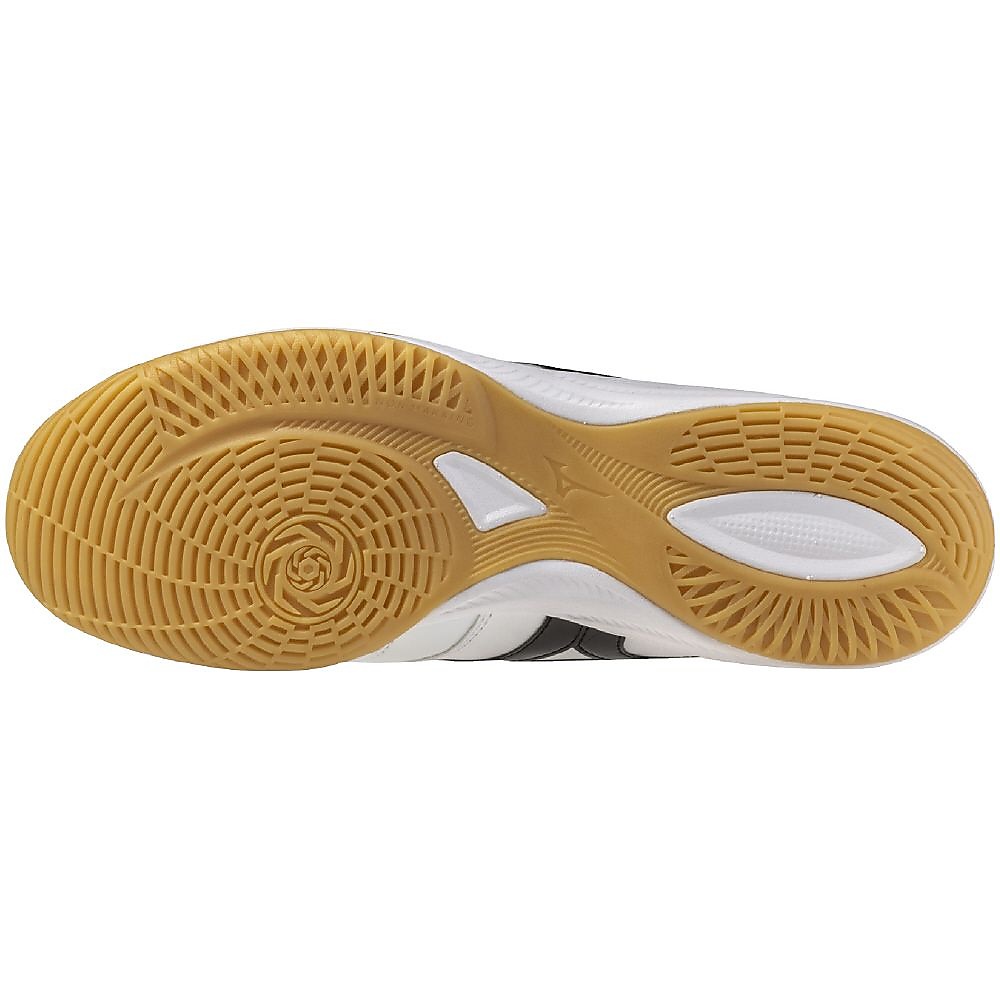 モレリア SALA PRO IN