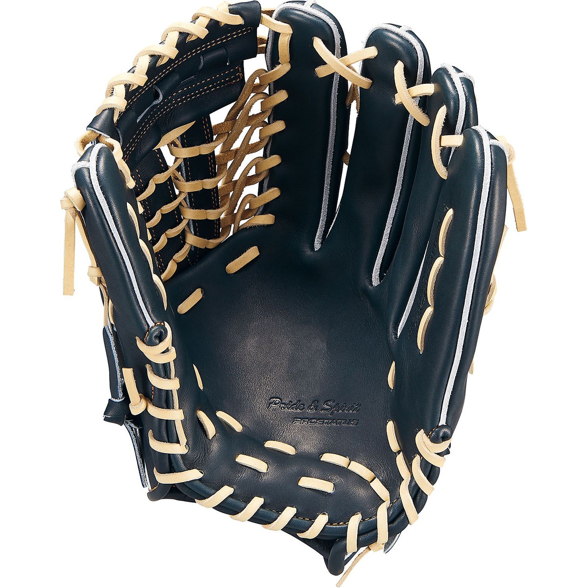 コウシキグラブ(プロステイタス)2401