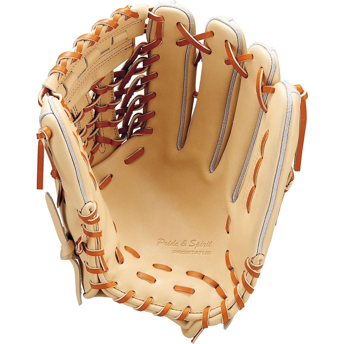 コウシキグラブ(プロステイタス)2401