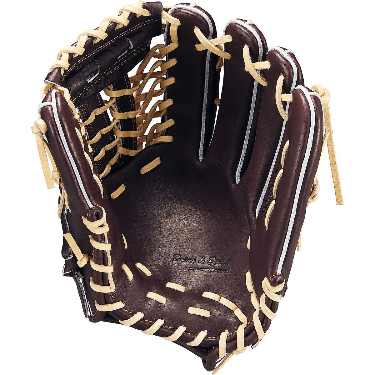 コウシキグラブ(プロステイタス)2401