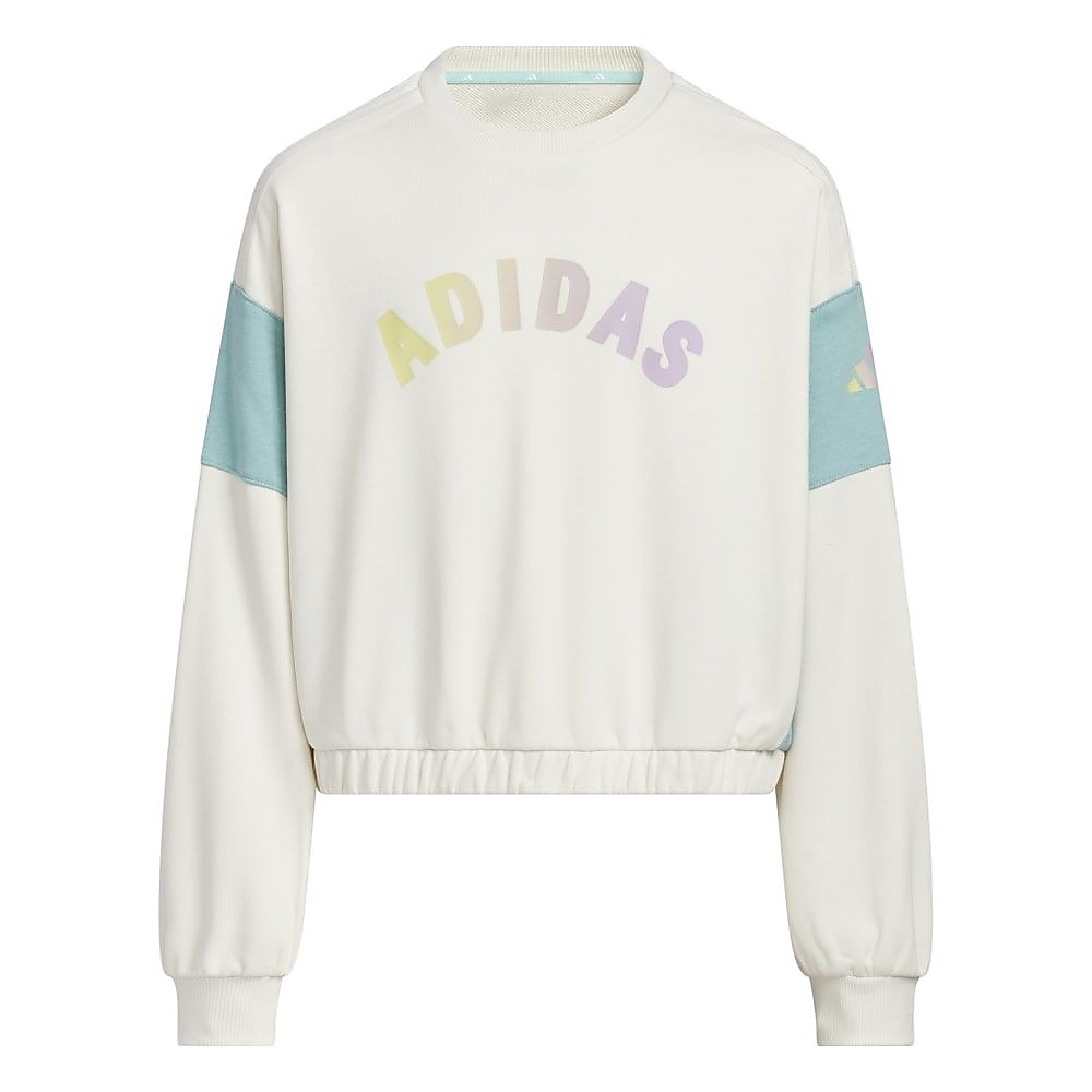 YGGPクルーネックスウェット