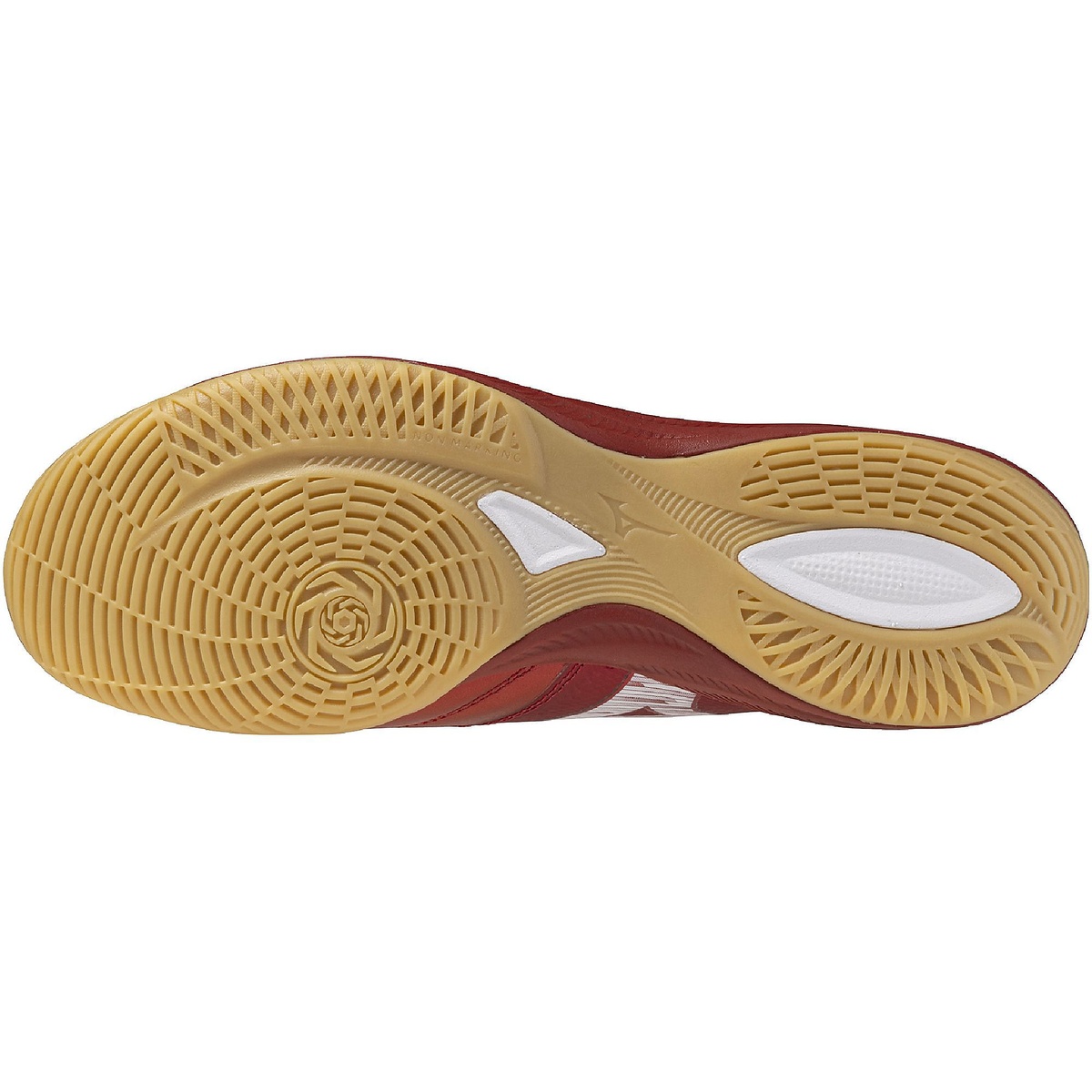 モレリアネオ サラ ベータ JP IN