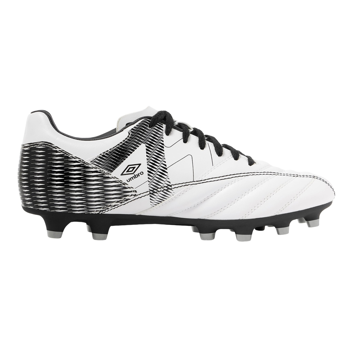 アクセレーター +GAINA HG