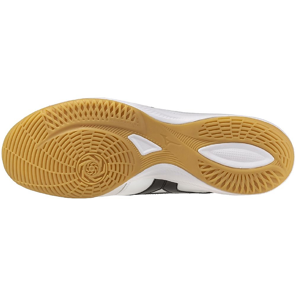 モレリア サラ JAPAN IN