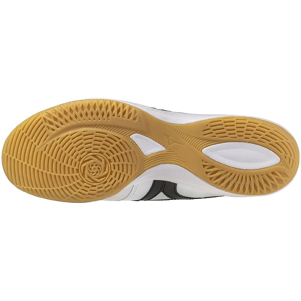 モレリア サラ ELITE IN