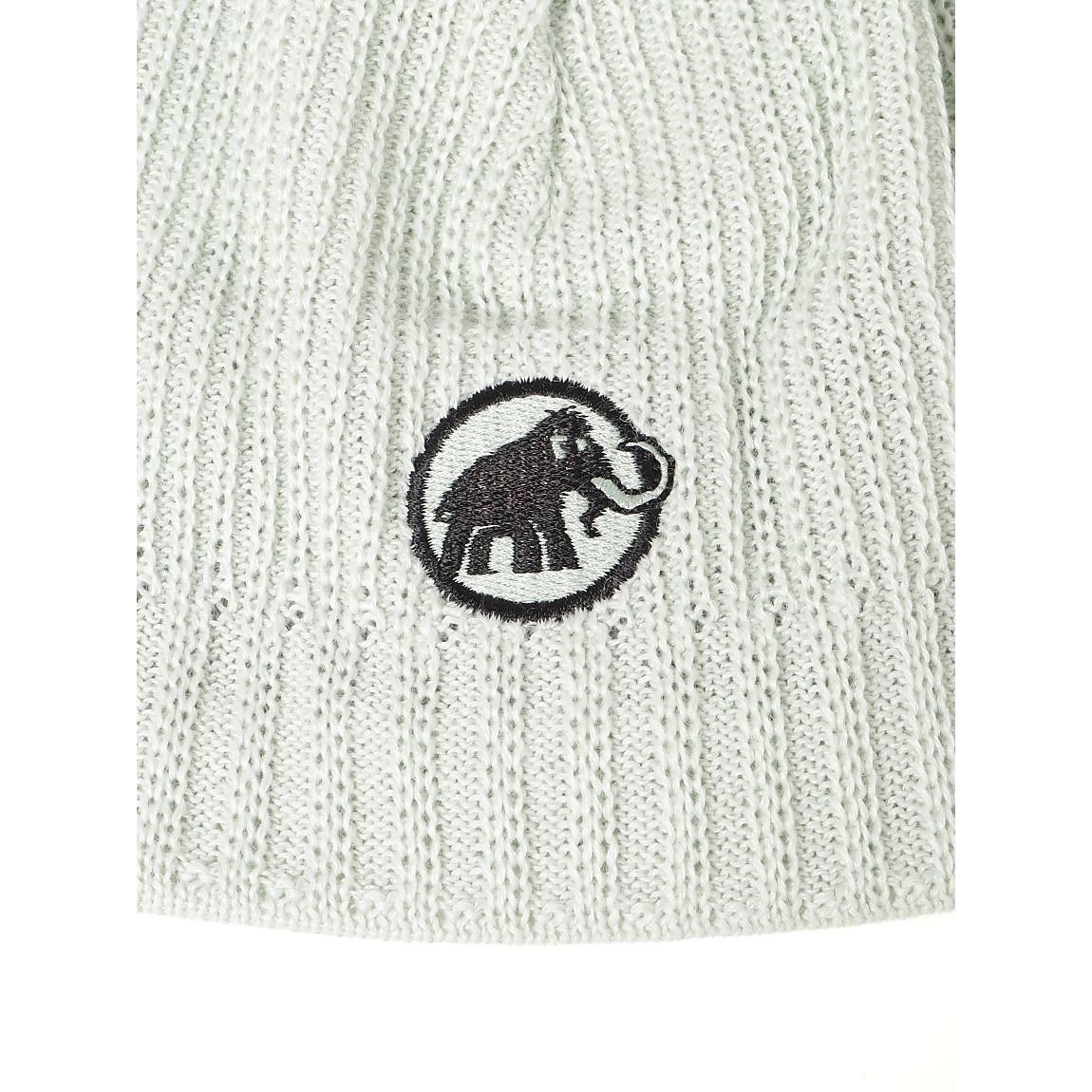 Sublime Beanie