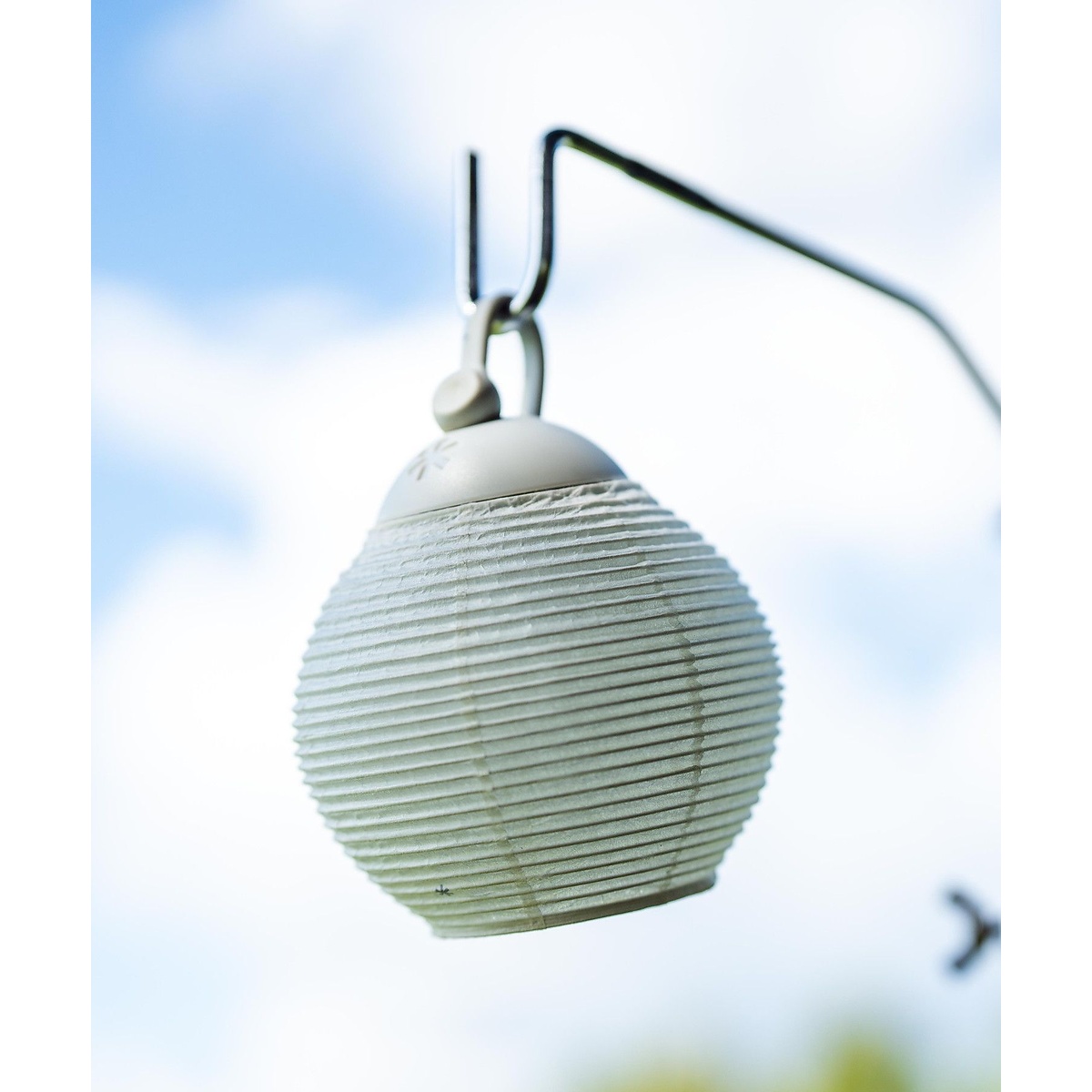 たねほおずき提灯シェード 蕾