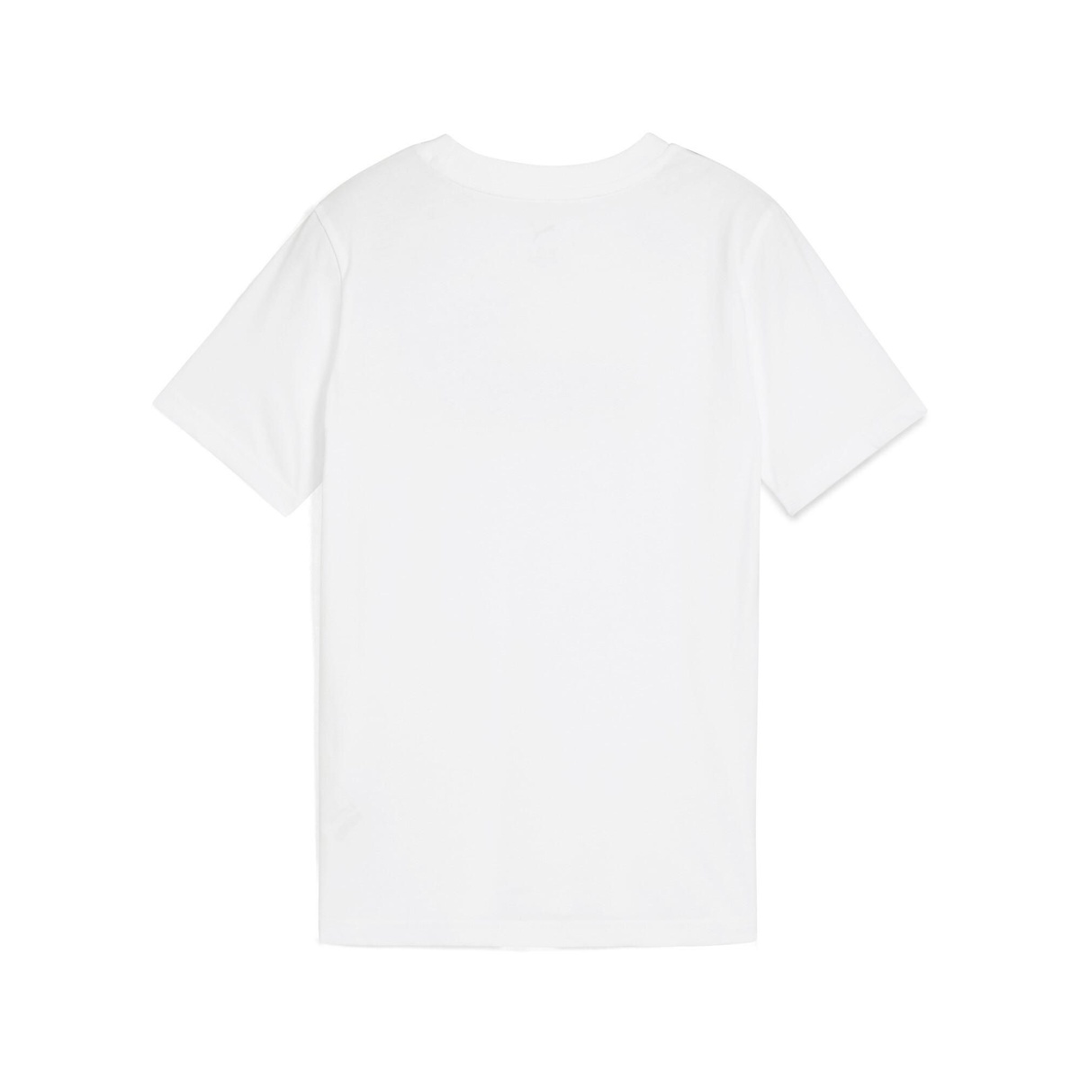 ESS NO.1 ロゴ Tシャツ B