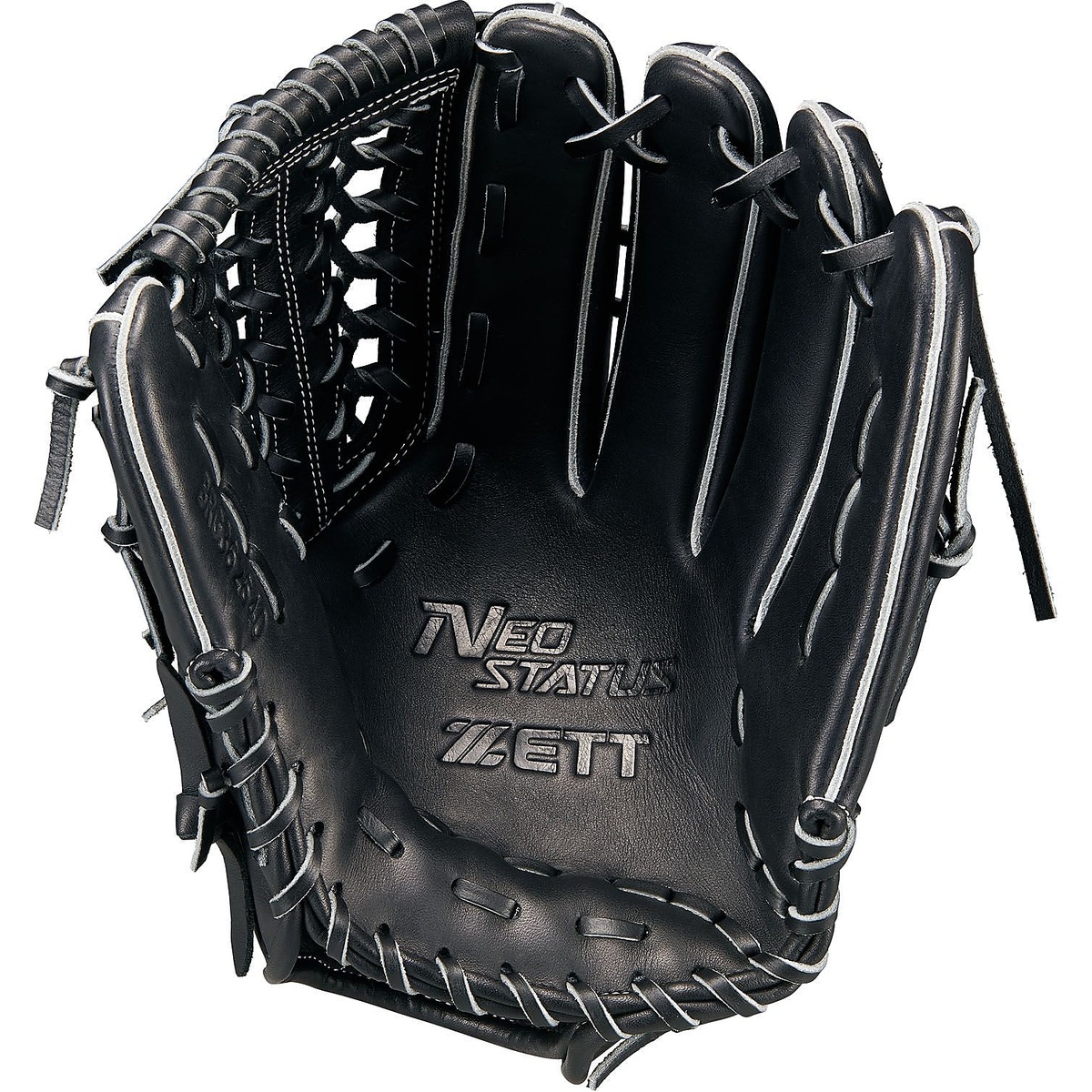 ナンシキ ネオステイタス 26