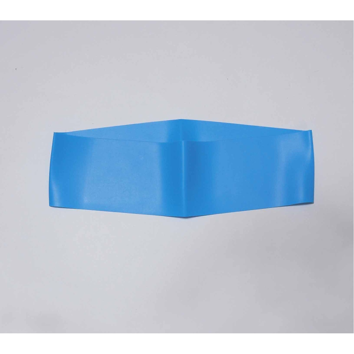 EXEバンド EXハード