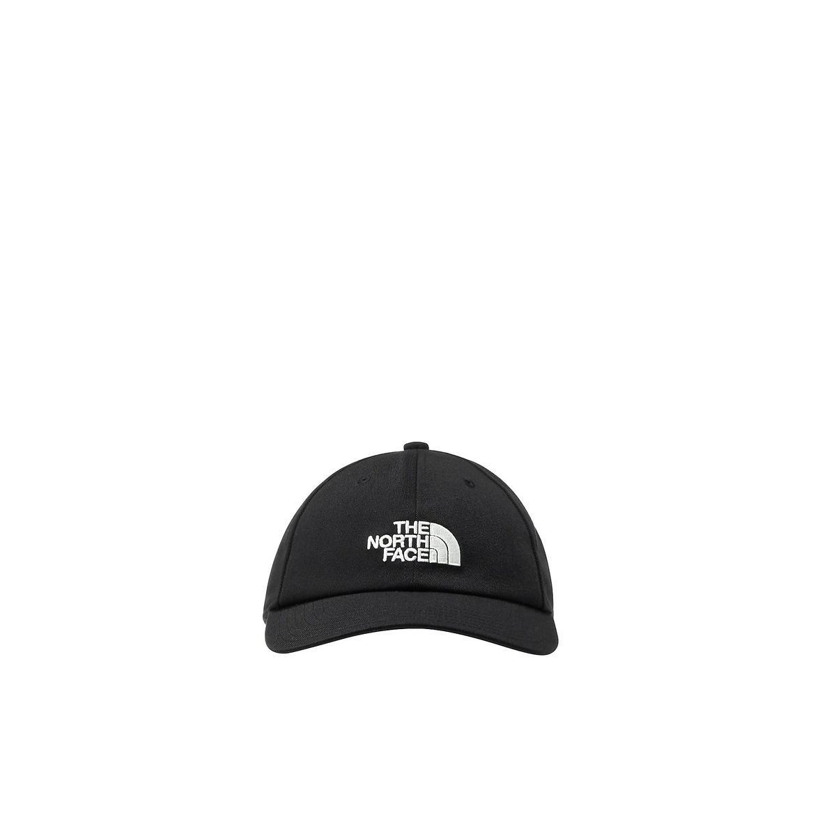 TNF LOGO CAP (TNFロゴキャップ)