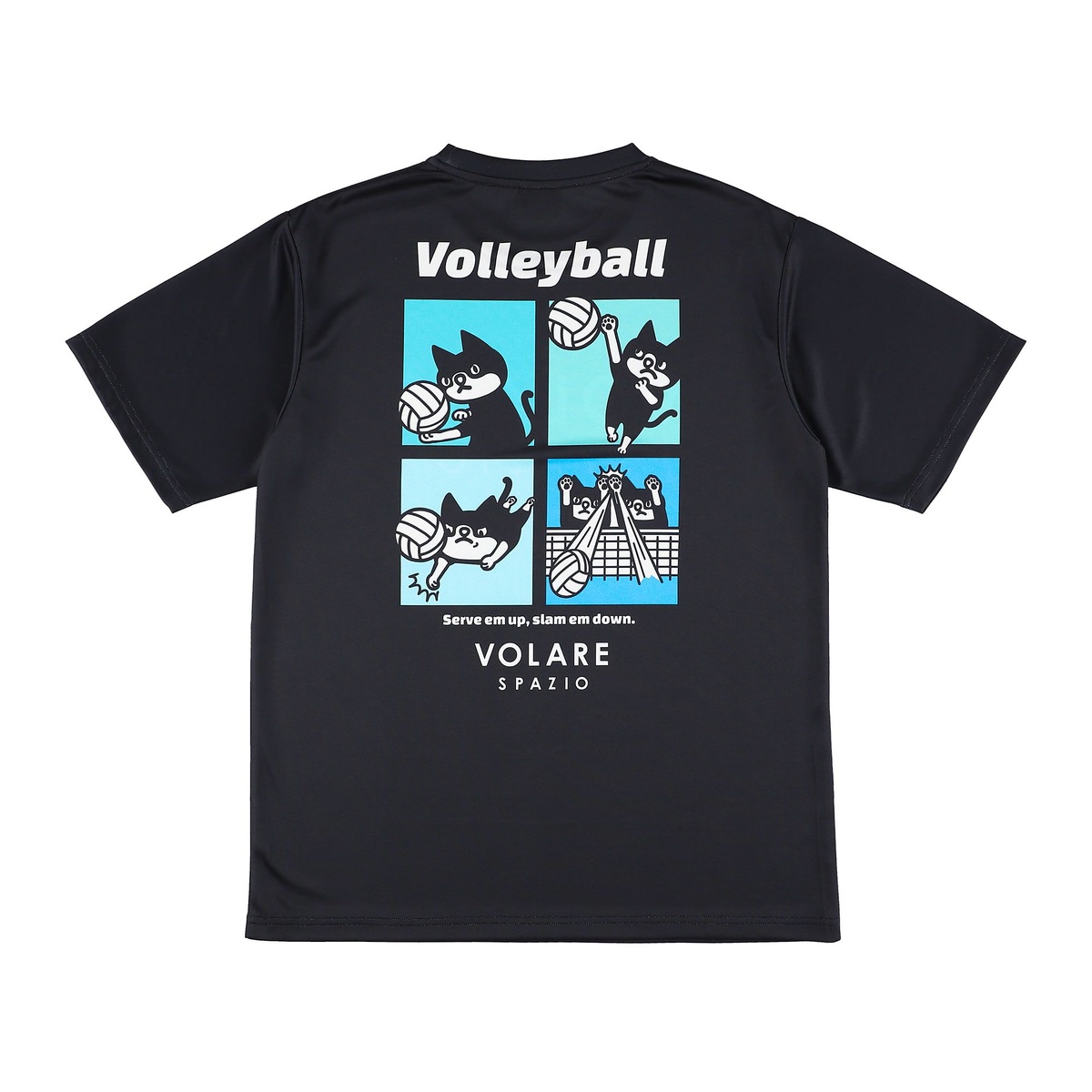 Pippoバレープラシャツ2