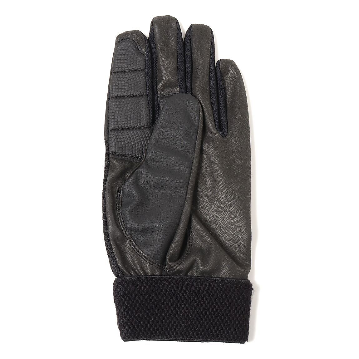 ホシュヨウ　テブクロ