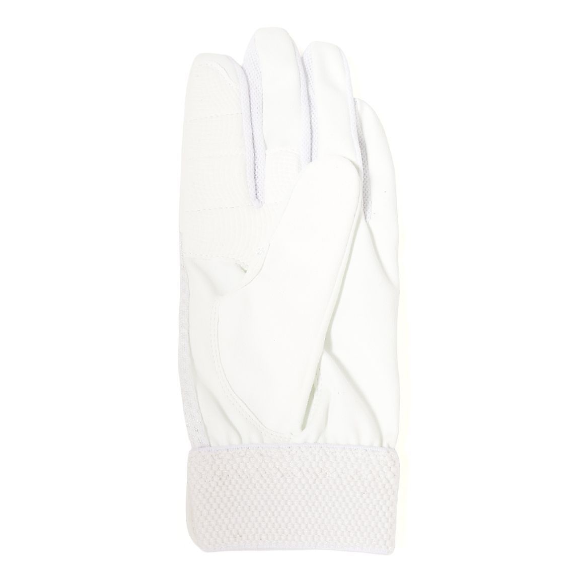 ホシュヨウ　テブクロ