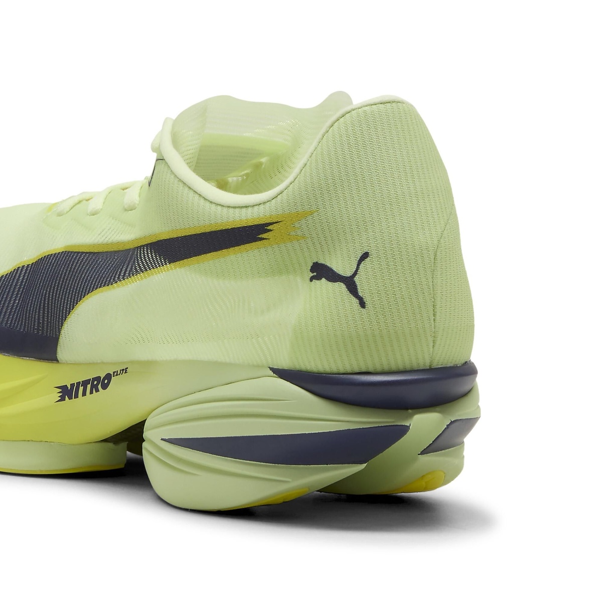 ファストアール ニトロ エリート 3