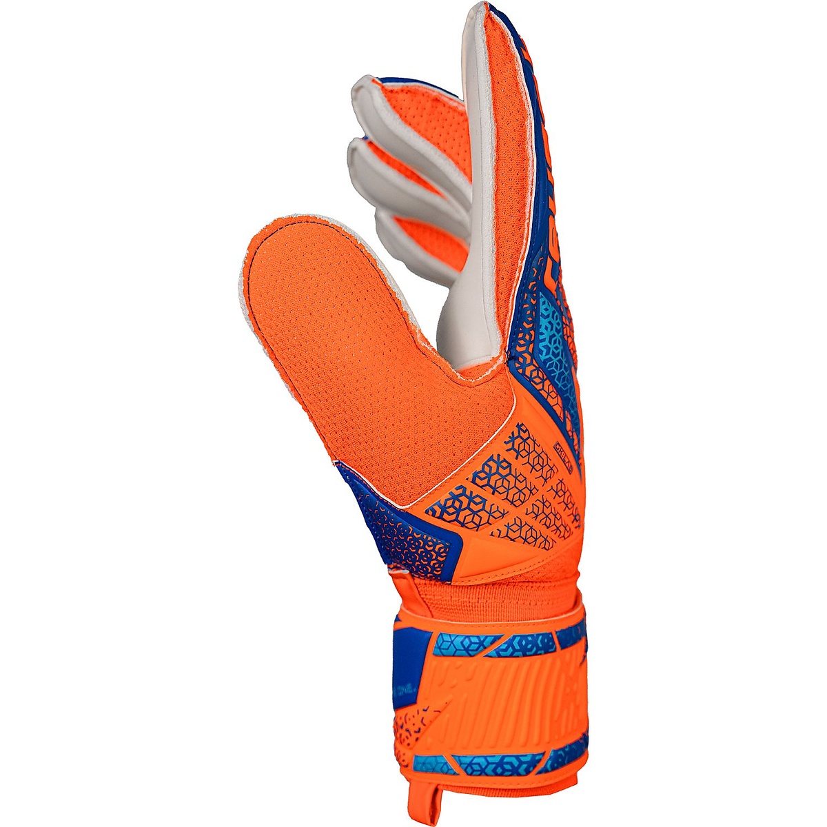 アトラクト ソリッド(REUSCH)