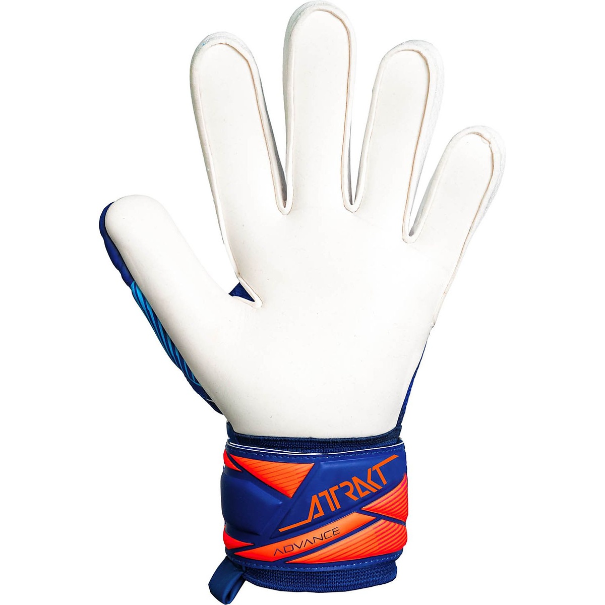 アトラクト　アドバンス