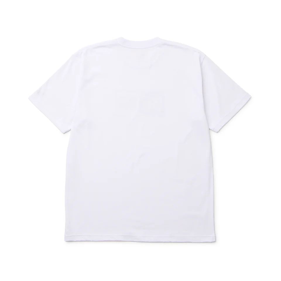 SS CT T PAISLEY BOX