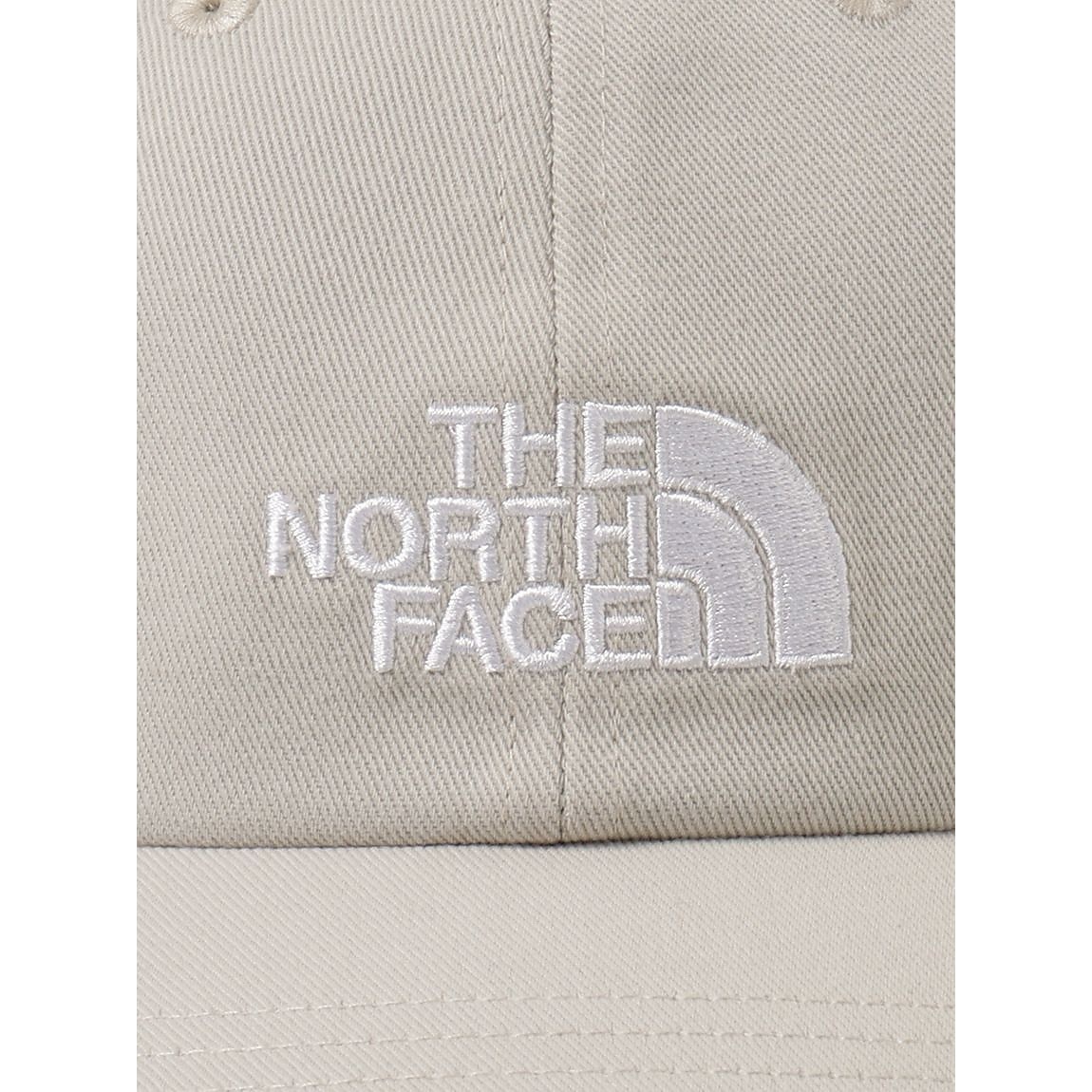 TNF LOGO CAP (TNFロゴキャップ)