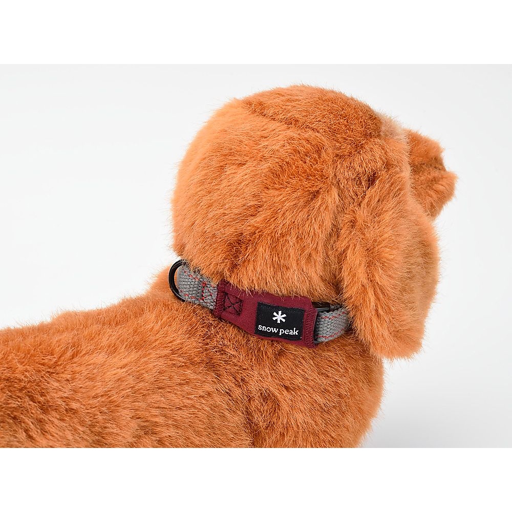 SPソフトカラーL