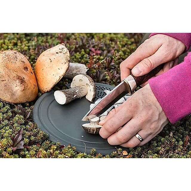 トランギア マルチディスク21センチ