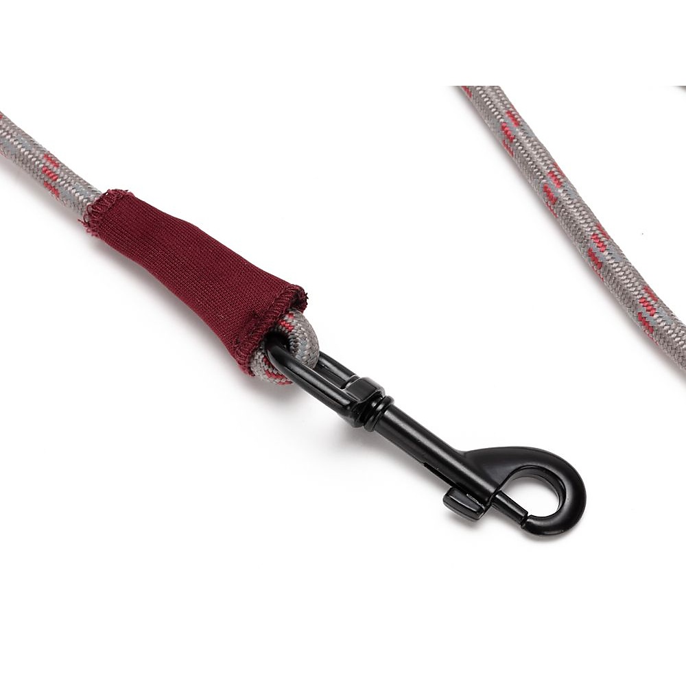 SPドッグリードS