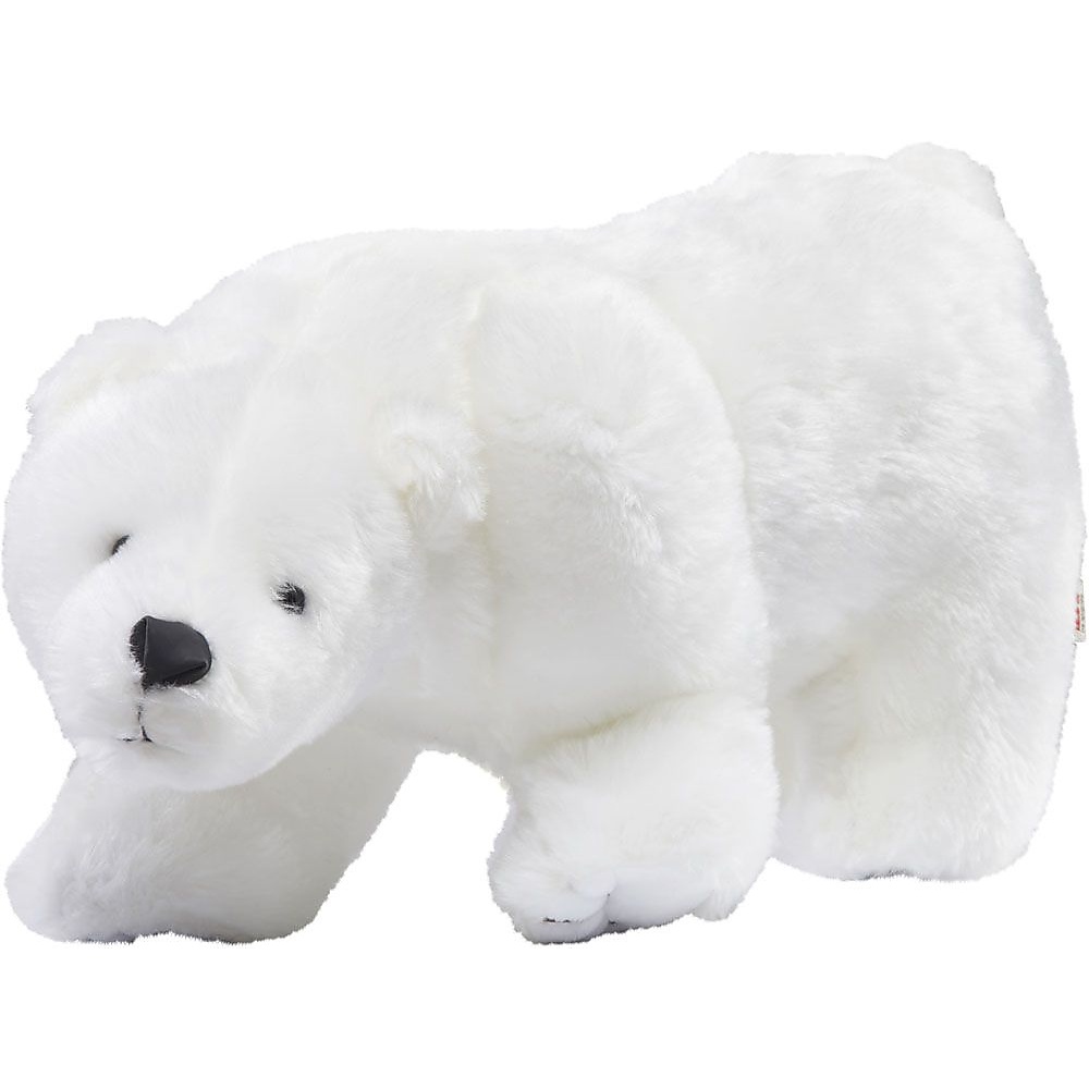 ＰＯＬＡＲ　ＢＥＡＲ　　ＬＡＲＧＥ
