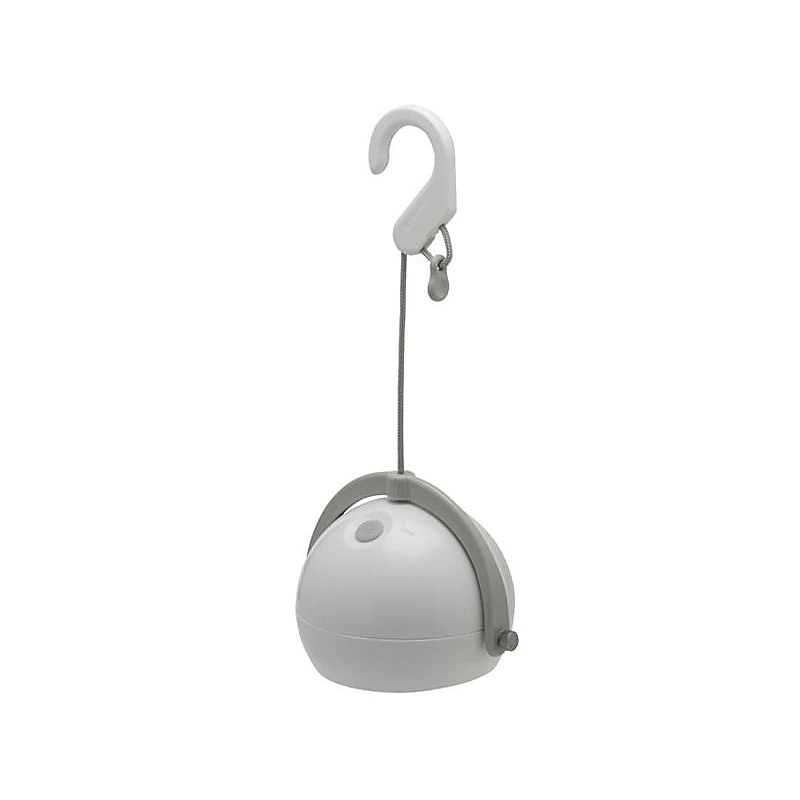 スポットほおずき