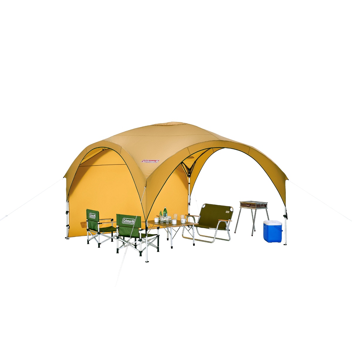 パーティーシェードライト/300 (グリーン/ベージュ)