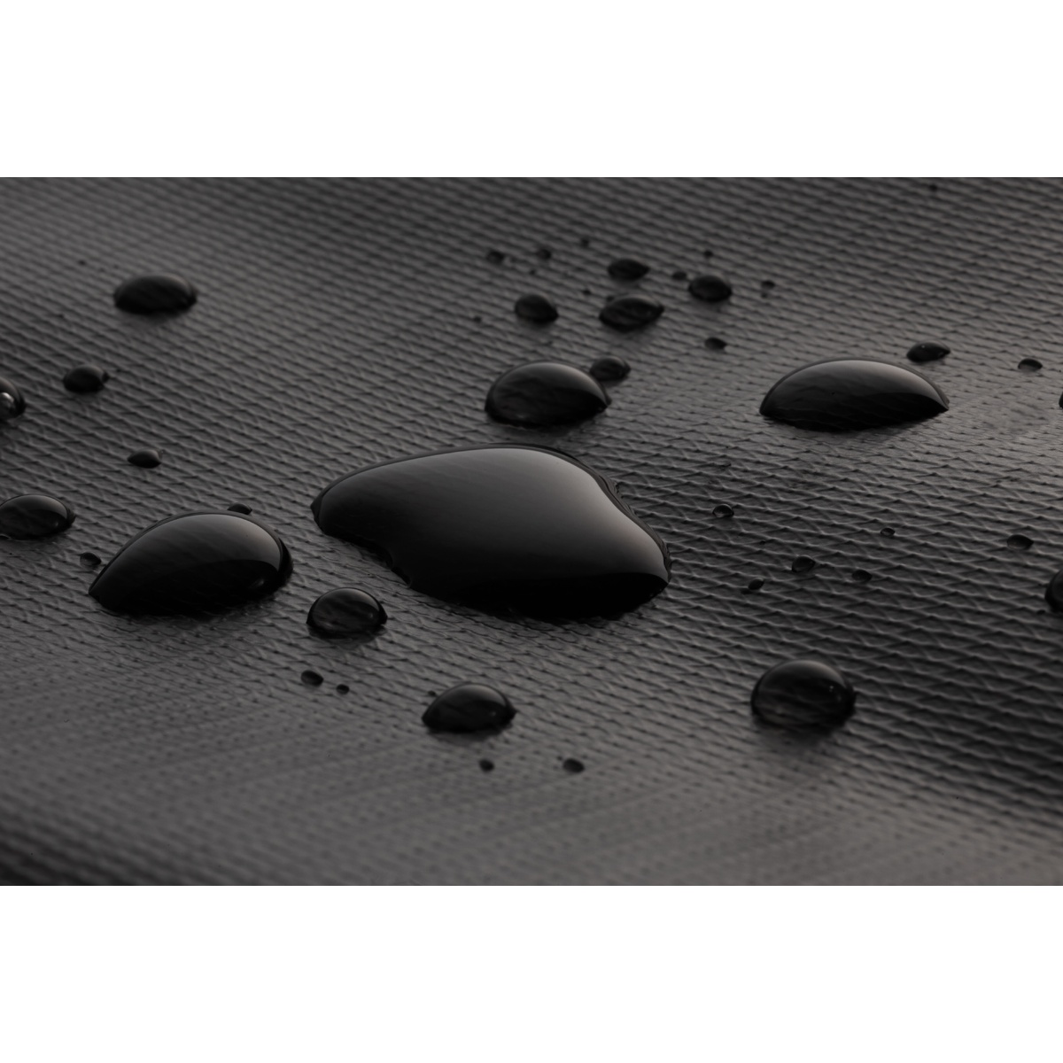 ポップアップボックス(コヨーテ)