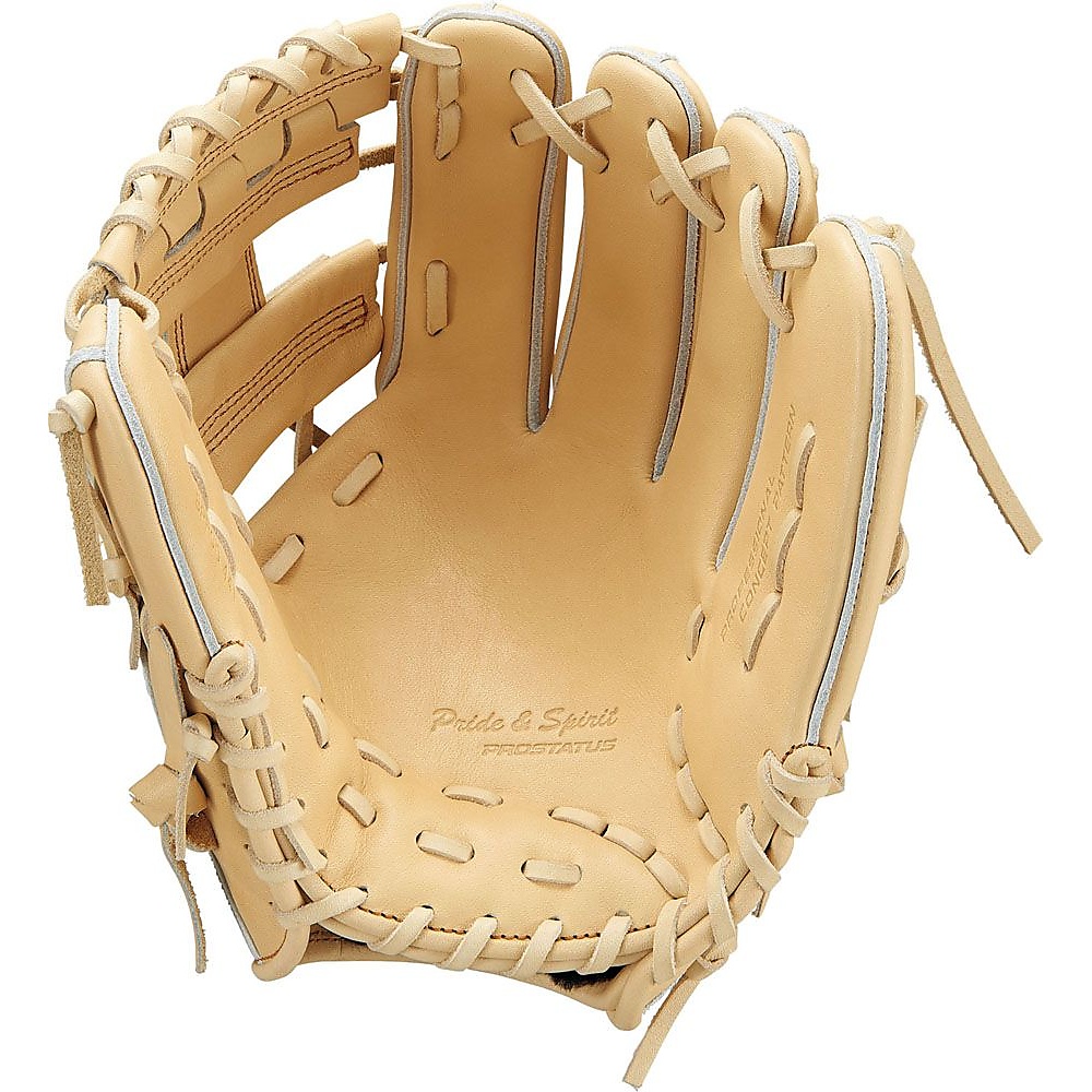 コウシキグラブ(プロステイタス)2001