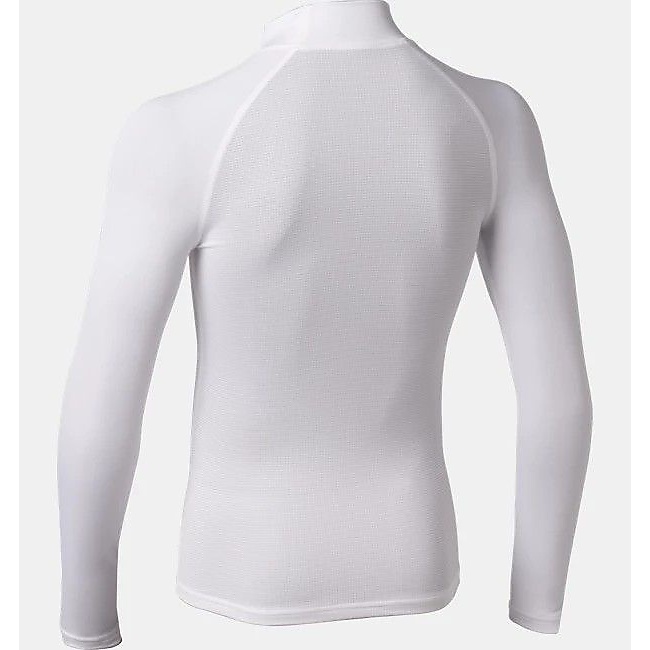 UA HG ARMOUR LS MOCK PK Y