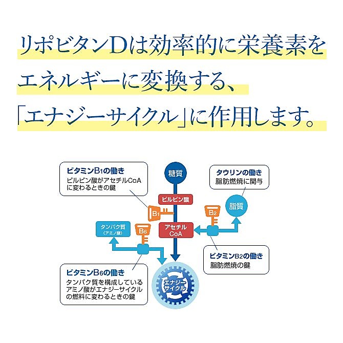 リポビタンD　100ML瓶